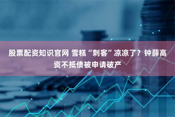 股票配资知识官网 雪糕“刺客”凉凉了？钟薛高资不抵债被申请破产