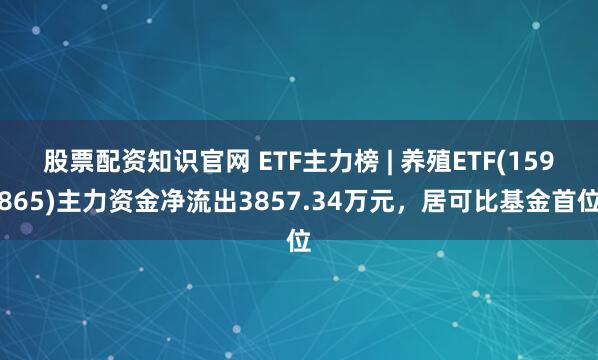 股票配资知识官网 ETF主力榜 | 养殖ETF(159865)主力资金净流出3857.34万元，居可比基金首位