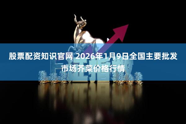 股票配资知识官网 2026年1月9日全国主要批发市场芥菜价格行情